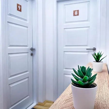 Kiko زرنيانين