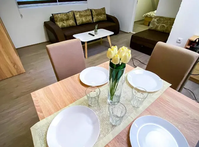 Kiko * Ζρένιανιν