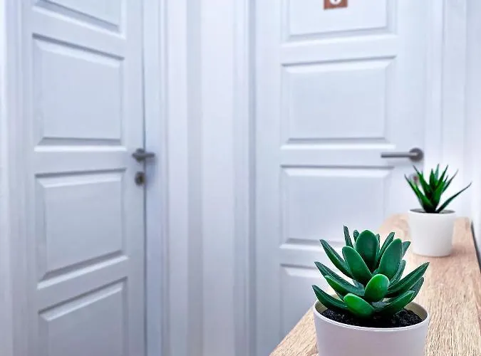 Kiko Ζρένιανιν